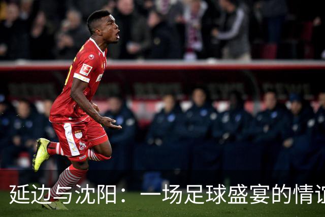 延边与沈阳：一场足球盛宴的情谊交响曲